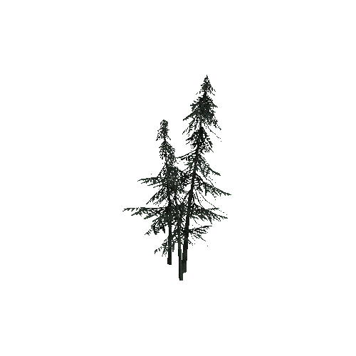 ConiferTreesGroup01LOD0 (TVE Backup)